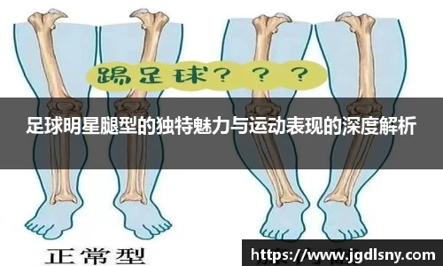 足球明星腿型的独特魅力与运动表现的深度解析